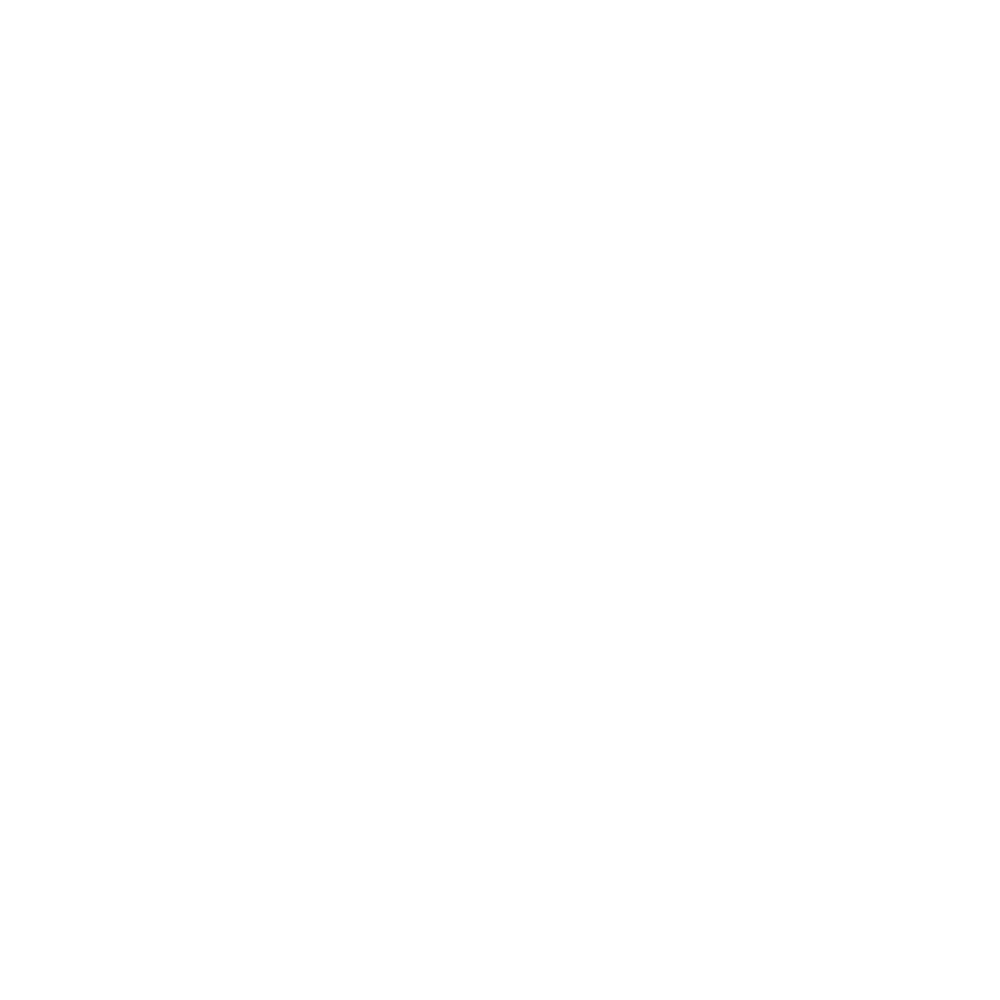 WordPress beeldmerk wit